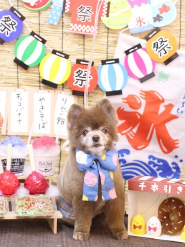 20240703クッキーくん